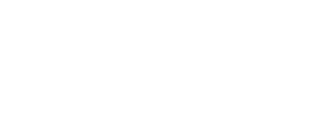Destination Snow